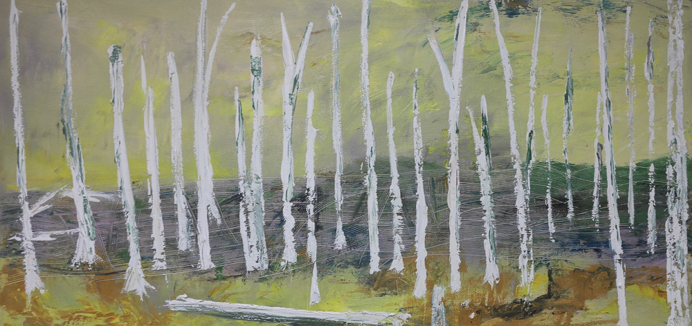 Sheila Marie Doyle - Barren Birches