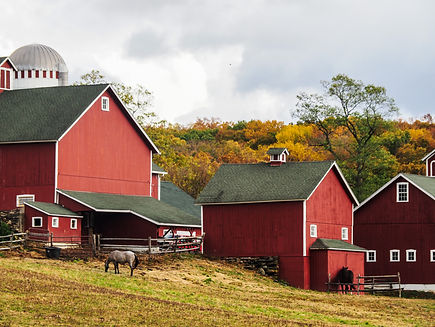 LTHubbard Sherman - Autumn Days Photograph 16 x 20 $175.jpg