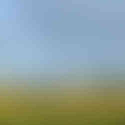 white water tower, field of corn, blue sky with clouds
