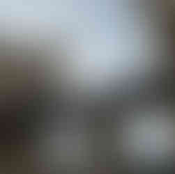 Vincennes Castle Bridge View