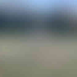 Field of round hay bales