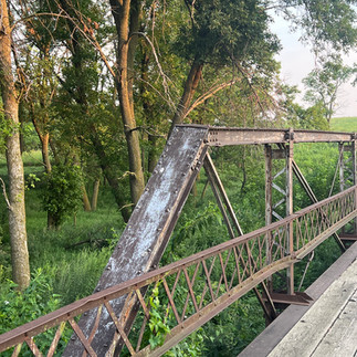 Wilderness Park old bridge and trees