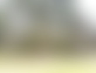 Get a Little Piece of Paradise now in Texas (USA)