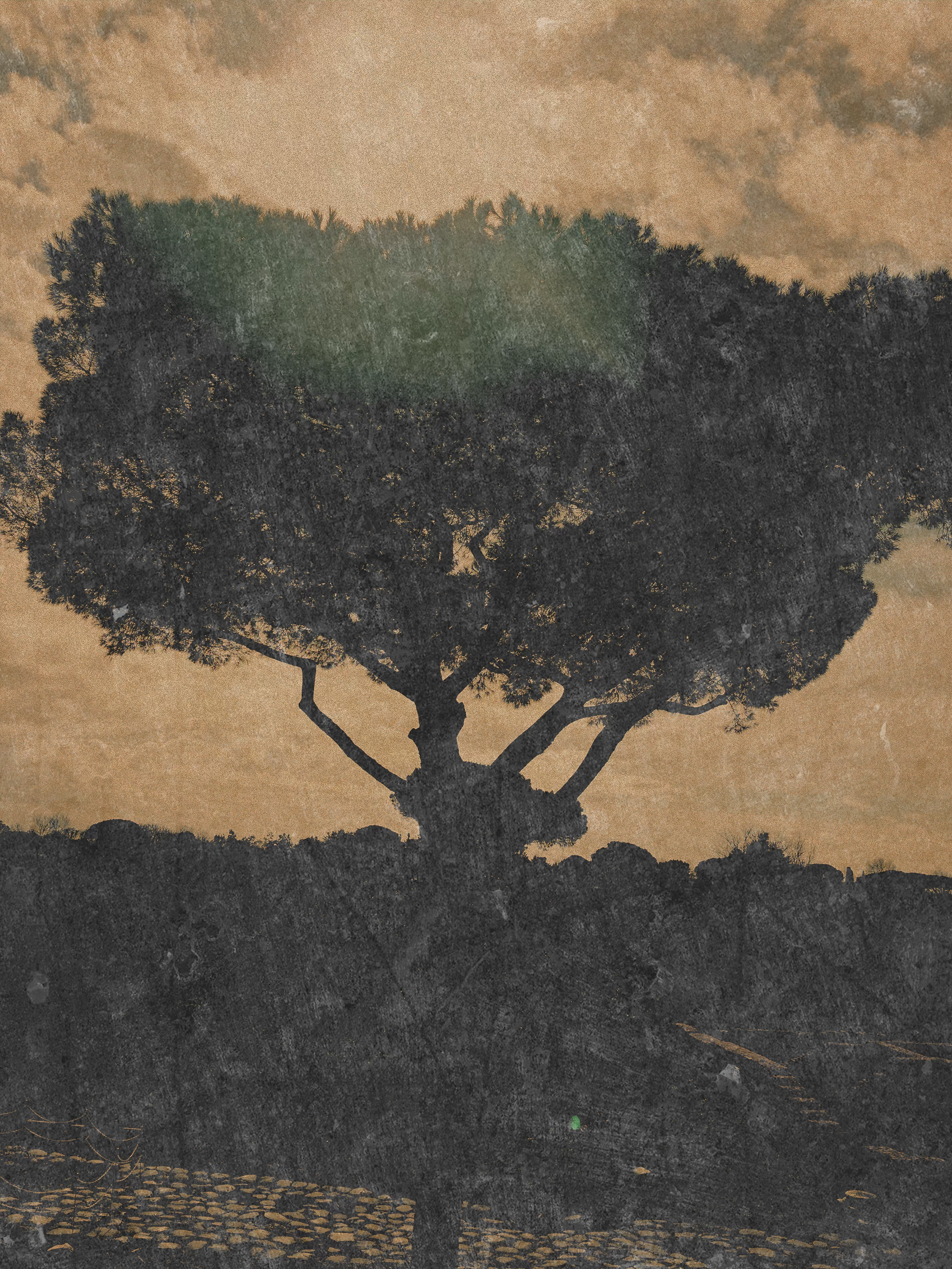 Writer: mosaicsofmymind