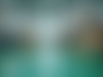 Innovating Through Effective Sustainable Design Strategies