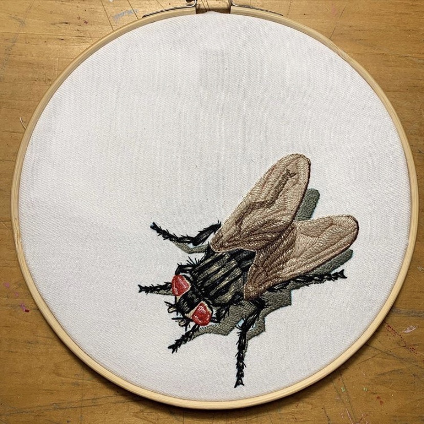The Fly