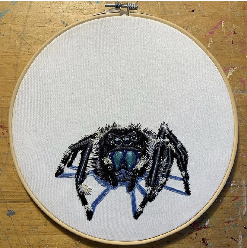 Jumping Spider