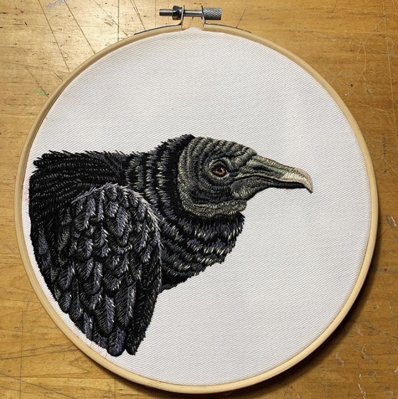 Vulture
