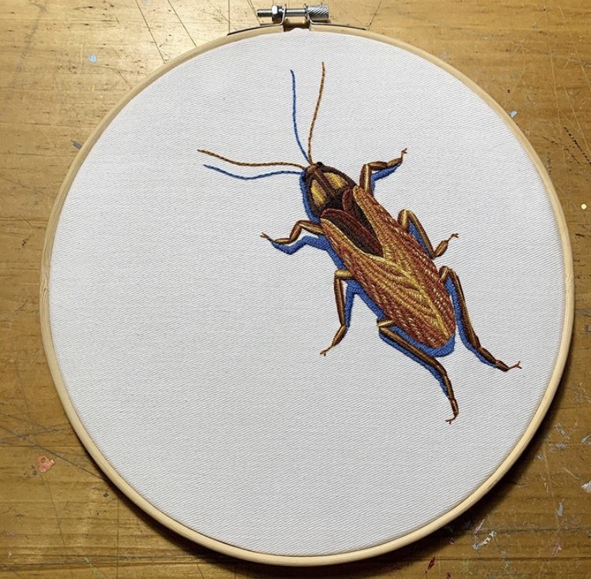 Cockroach