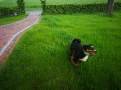 flitzen kann sie auch