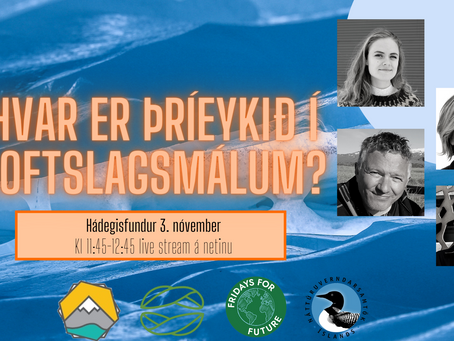 Hvar er þríeykið í loftslagsmálum?