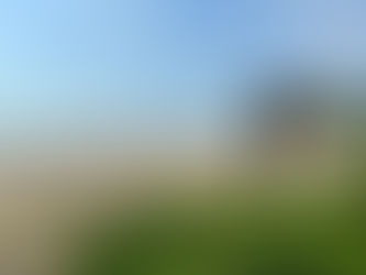 Big dogs, Beach days and Bed days