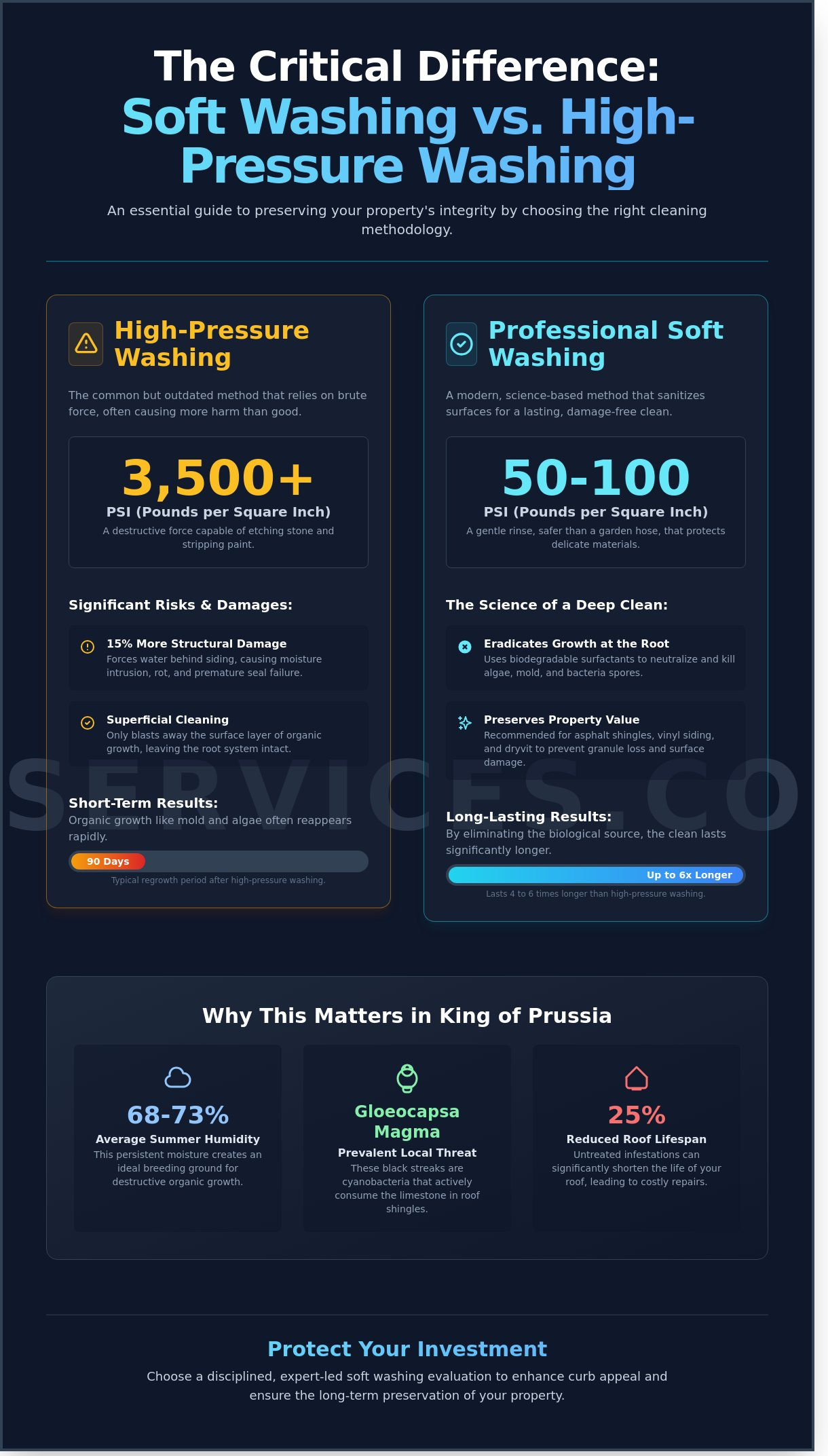 Professional soft washing