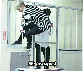 Korean Law legal illegal being a kpop fan BTS Bangtan police station criminal Park jimin breaks out of prison