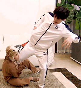 Korean Law legal illegal being a kpop fan BTS Bangtan Park Jimin dog persistent harassment of Min Yoongi Suga gif