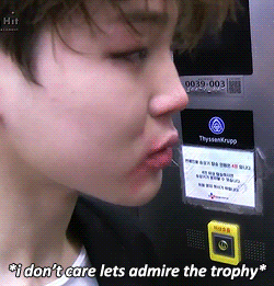 Korean Law legal illegal being a kpop fan BTS Bangtan Park Jimin lipstick admire trophy