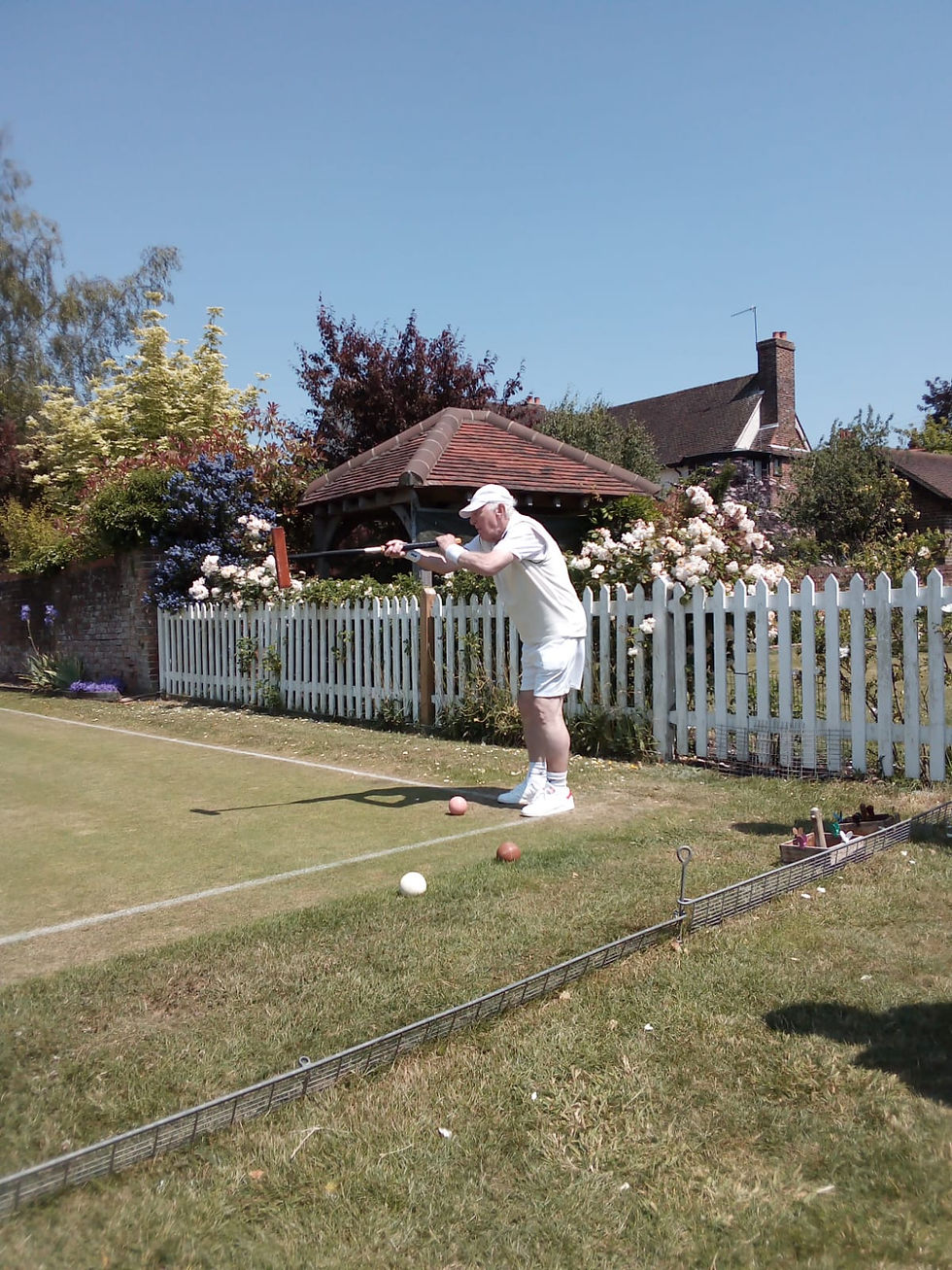 Reigate_Pic 3