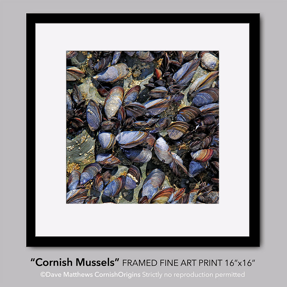 Thumbnail: Framed fine art print - 8 variants