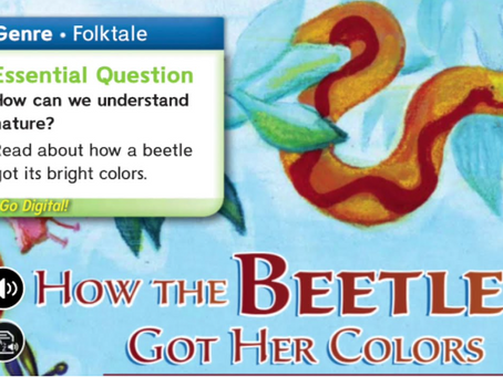Story Review of How Beetle Got her Colors