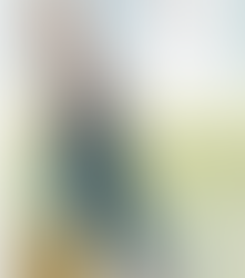 Book Review of Thimble Summer