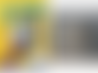 Book Review of Roller Skates