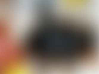 Story Review of Shadow of a Bull