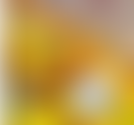 Book Review of A Long Way From Chicago