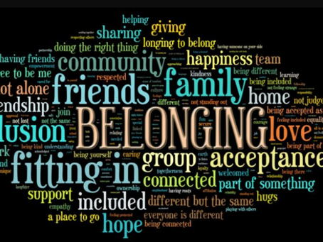 Human Need to Belong and Conform