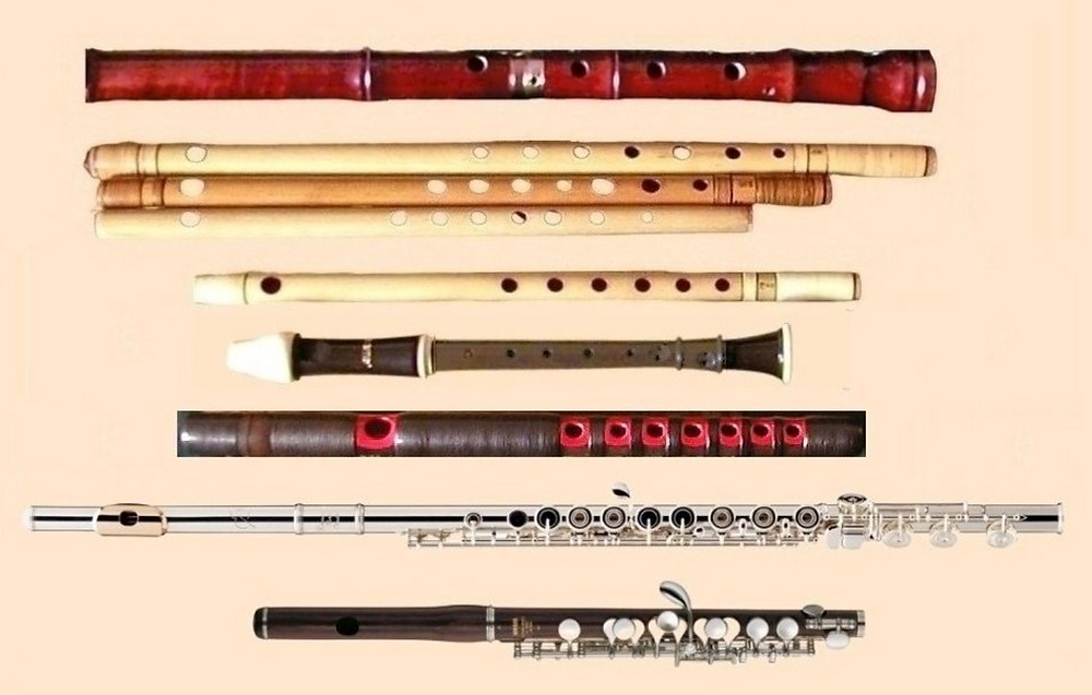 Exploring the World of Flutes: Types, Brands, and Finding the Perfect Fit