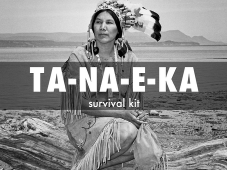 Story Review of TA NA E KA