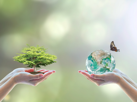 The Balance Between Humans and Nature