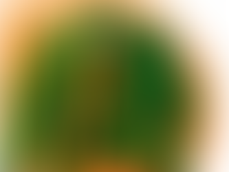 Critical Review of The Jacket