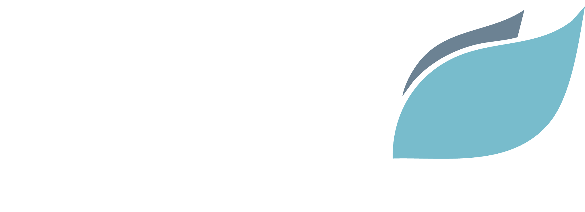 Logo-Sound-Surveyor