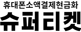 소액결제정책