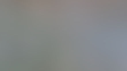 Celebrating First Generation Of Salmon.