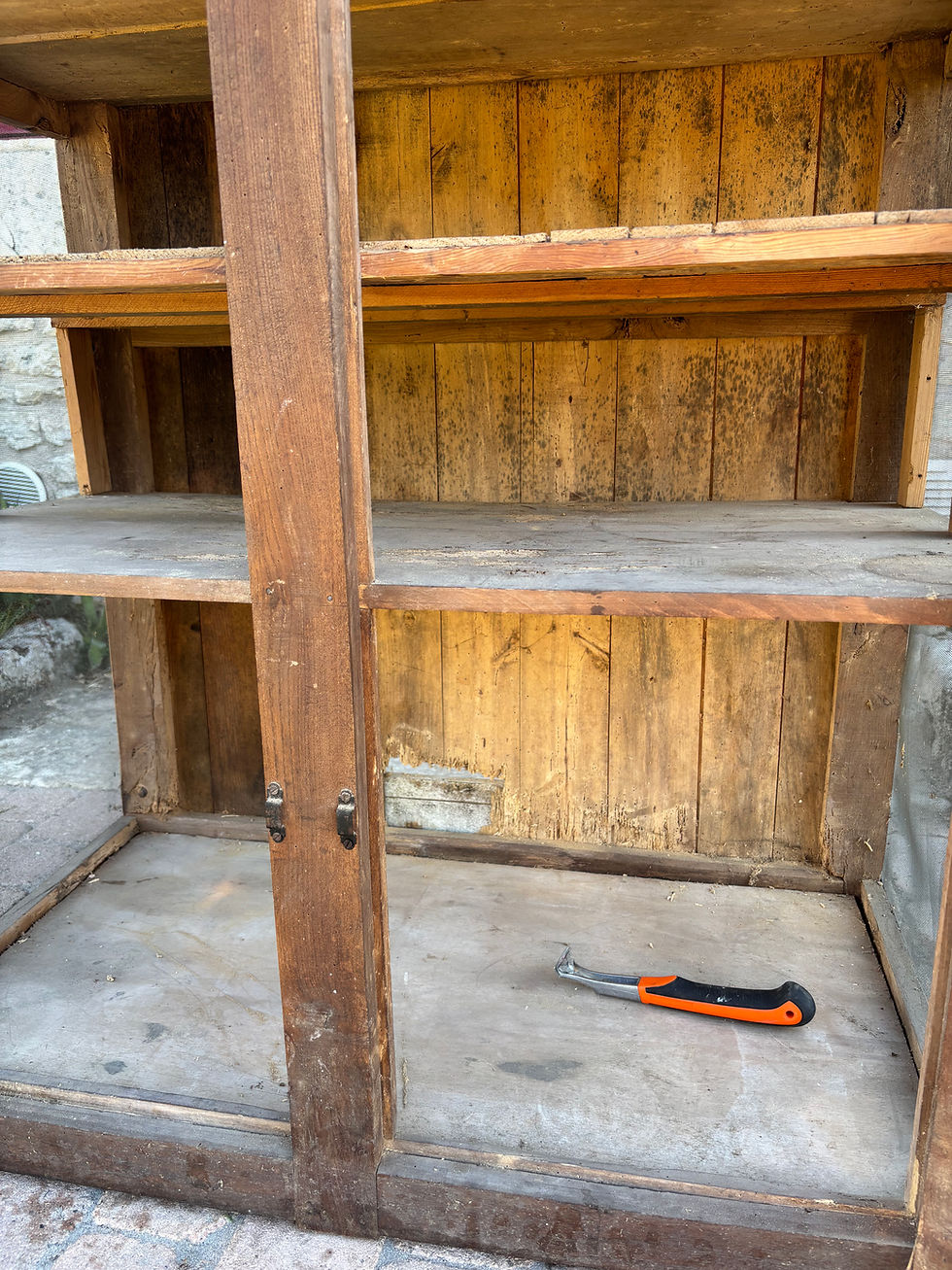 Miniature : Mauricette