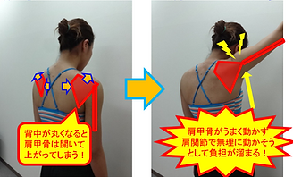 パーソナルトレーニング| ピラティス|姿勢矯正| 練馬区| 西武池袋線| 大泉学園