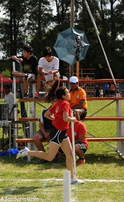Torneo Atlético Infantil Nikkei