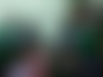 Free Mentoring Program Commences!