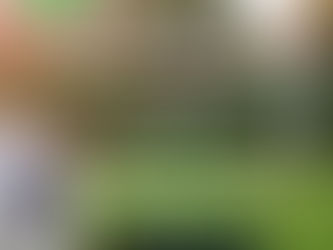 Building International Bridges