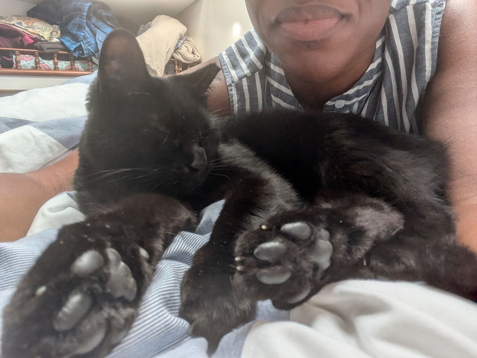 Black boat cat Luna showing her paws while relaxing inside our liveaboard sailboat