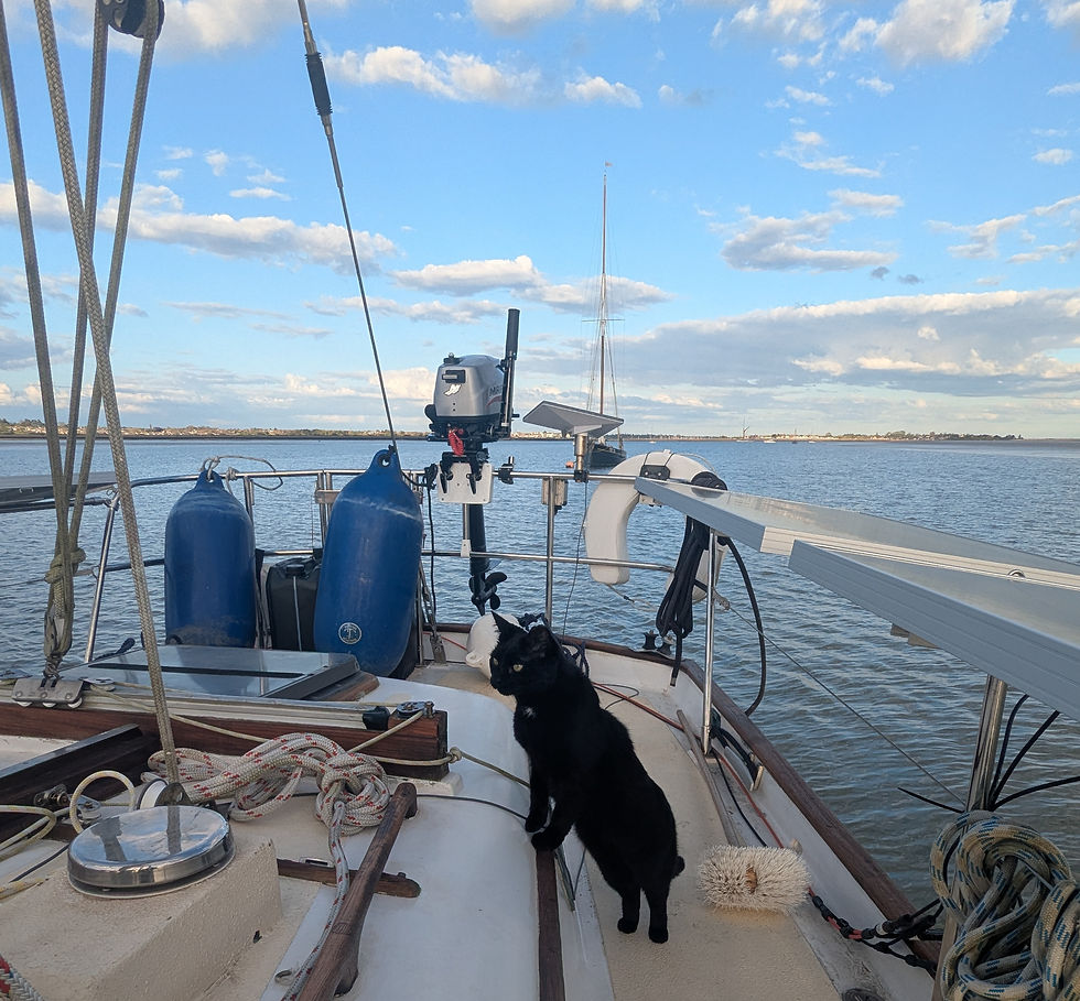 Black cat standing on a sailboat's deck, looking out to sea. Blue sky with scattered clouds in the background, water view visible.