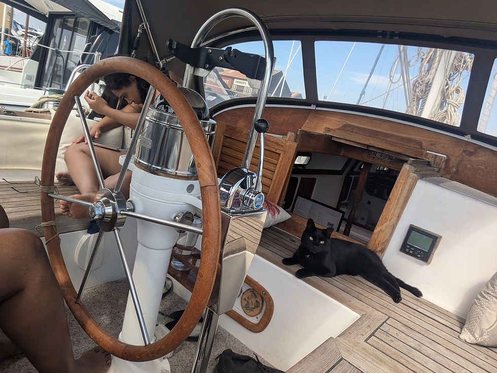 Boat cat Luna relaxing in the cockpit of our liveaboard sailboat
