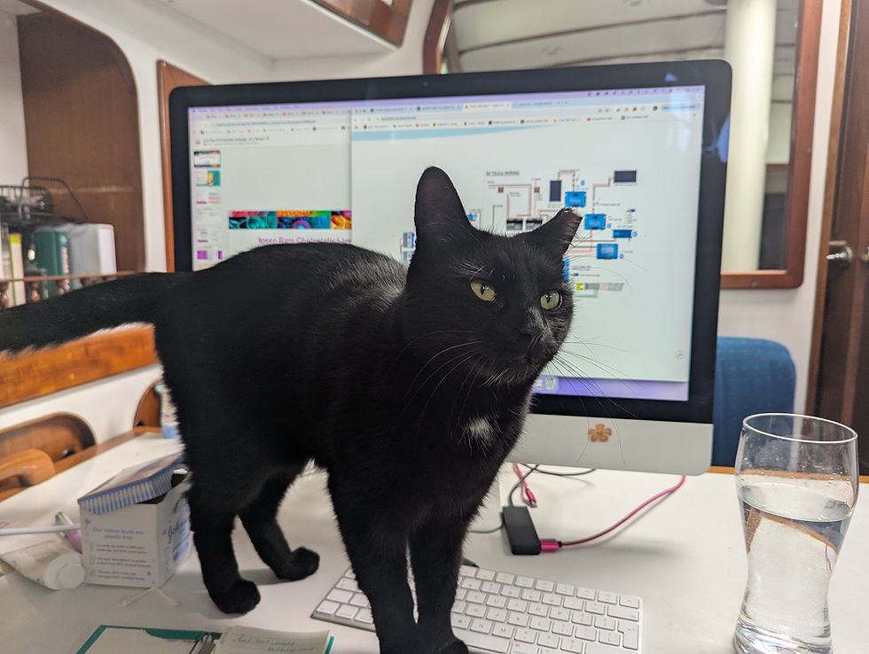 Black cat on desk in front of computer screen displaying diagrams, next to a glass of water. Cozy room setting, calm mood.