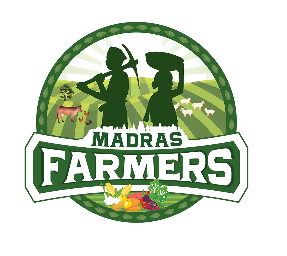 MF - Logo - Final (1).png