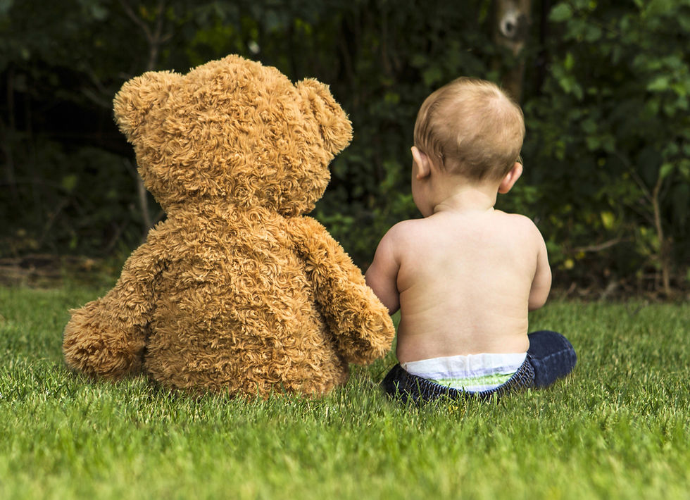 Pet stain cleaners jupiter fl