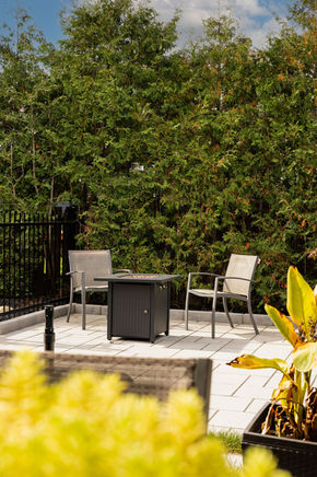 Foyer extérieur avec deux chaises de jardin entourées d’une haie de conifères.