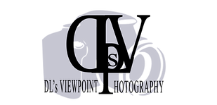 DL's Viewpoint Photography