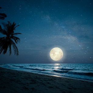 Leo Full Moon: How to Harness the Power of February's Sparkling Full Moon
