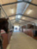IMG_2337.jpeg